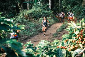 BIB: 
                            <button type="button" onclick="openModal(25837678)" class="btn btn-primary btn-sm float-right btn-popup" data-toggle="modal" data-target=".modal-high-quality">
                        <i class="fas fa-shopping-cart"></i> Add to Cart
                    </button>
                                            <button type="button" onclick="isThisMe(25837678, true)" class="btn btn-success btn-sm float-right btn-popup btn-isme hidden" data-toggle="tooltip" data-placement="bottom" title="นี่คือรูปของคุณใช่ไหม คลิกที่นี่เพื่อเอาเข้าอัลบั้ม">
                        <i class="fas fa-plus"></i> Add to album
                    </button>
                    <button type="button" onclick="isThisMe(25837678, false)" class="btn btn-warning btn-sm float-right btn-popup btn-isnotme hidden">
                        <i class="fas fa-ban"></i> Remove from album
                    </button>